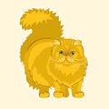 Funny, fat, cute, orange Persian cat. Vector illustration. Royalty Free Stock Photo